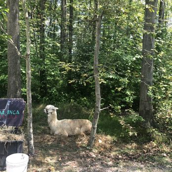 Great Lakes Medieval Faire  - Amusement Parks Near Me - Geneva, Ohio