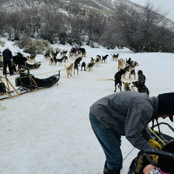 Bear Ridge Adventures - Sledding Near Me - Coalville, Utah