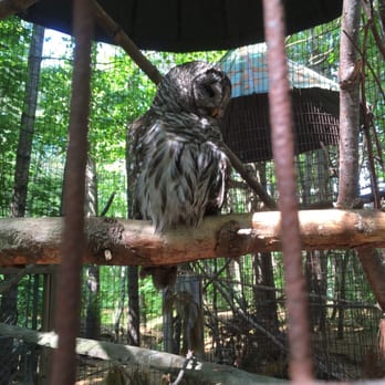 Oaklawn Farm Zoo - Zoos Near Me - Aylesford, Nova Scotia Oaklawn Farm Zoo - Zoos Near Me - Aylesford, Nova Scotia