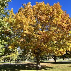 Maryhill State Park - Maryhill State Park Campground
