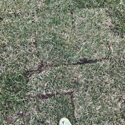 austex sprinkler installation