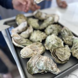 Merino's Seafood Market Retail - Oyster