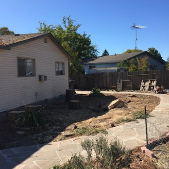American Lawn Care Experts - Tree Services Near Me - Winter Garden, Florida American Lawn Care Experts - Tree Services Near Me - Winter Garden, Florida