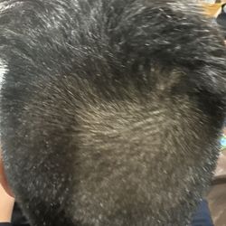 Haircut uneven, long, awful job