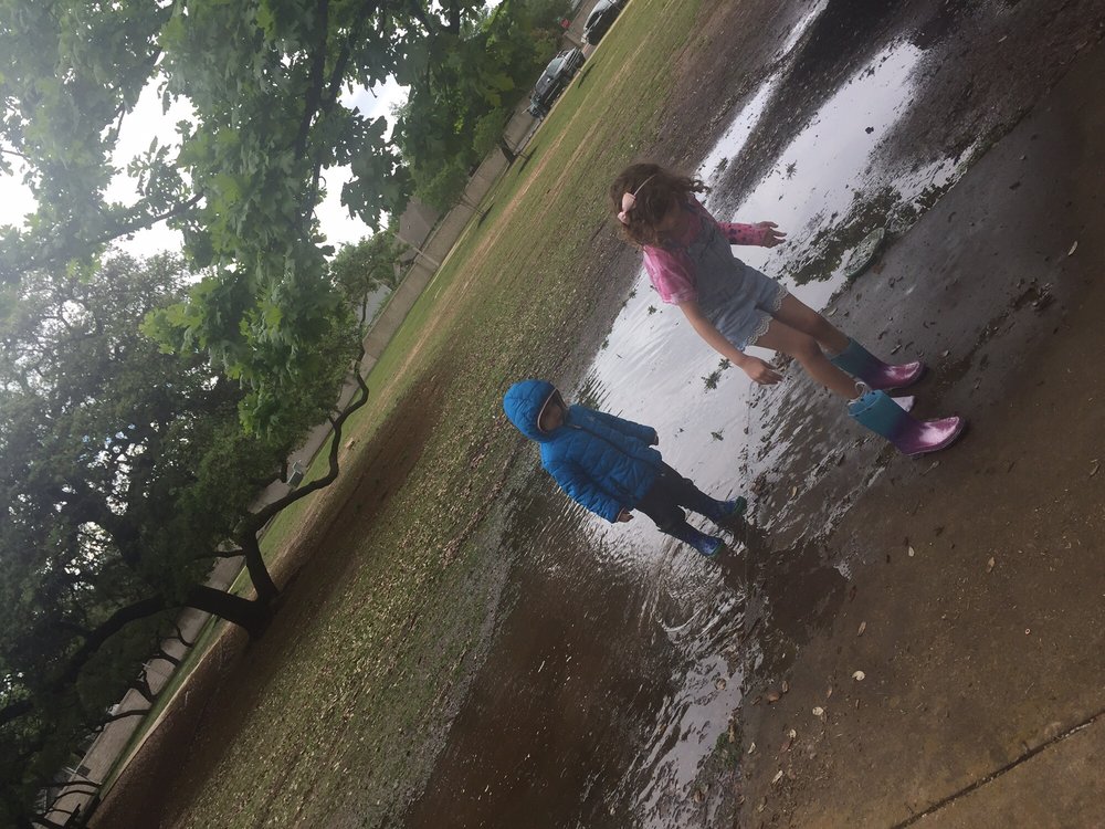 ANDERSON MILL WEST PARK 13 Photos & 13 Reviews 2702 Dagama Ct