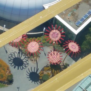 Space Needle - Chihuly Gardens from the Space Needle - Landmarks & Historical Buildings Near Me - Seattle, Washington Space Needle - Chihuly Gardens from the Space Needle - Landmarks & Historical Buildings Near Me - Seattle, Washington