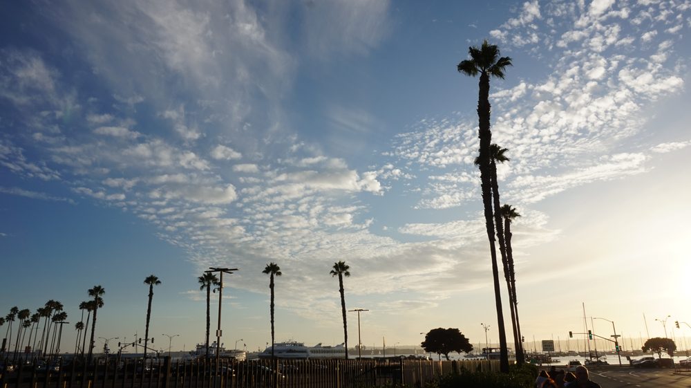 ZELAYA & ASSOCIATES Updated July 2024 Rialto, California Real