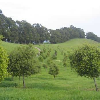Fairmont Ridge Staging Area - Parks Near Me - Castro Valley, California Fairmont Ridge Staging Area - Parks Near Me - Castro Valley, California
