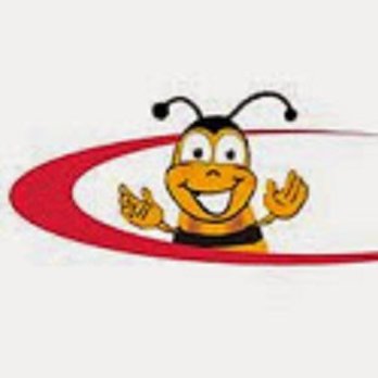 Cedar Pest Control - Pest Control Near Me - Leeds, XWY Cedar Pest Control - Pest Control Near Me - Leeds, XWY