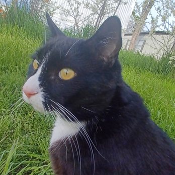 Dumb Friends League - Animal Shelters Near Me - Denver, Colorado