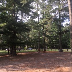 Grand Rapids Dog Park - Beautiful mature trees