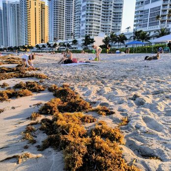 Sunny Isles Beach - Beaches Near Me - Sunny Isles Beach, Florida Sunny Isles Beach - Beaches Near Me - Sunny Isles Beach, Florida