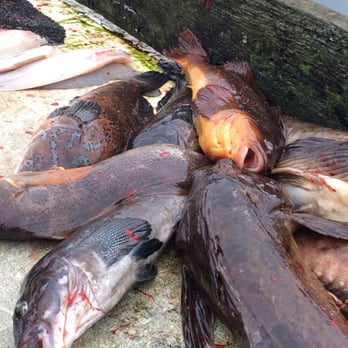 Makah Marina - Some of our catch! - Landmarks & Historical Buildings Near Me - Neah Bay, Washington