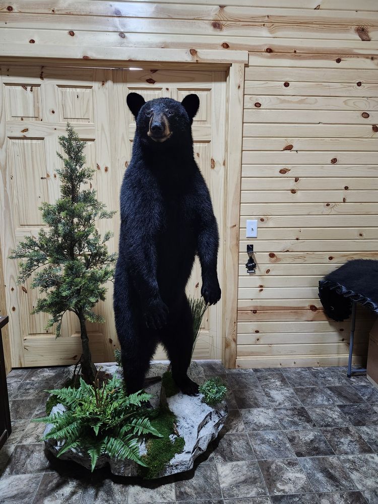 Wildlife Hollow Taxidermy - taxidermy in Middlebury, IN