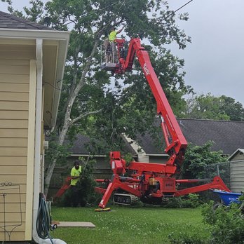 Environmental Tree Service - Tree Services Near Me - Beaumont, Texas