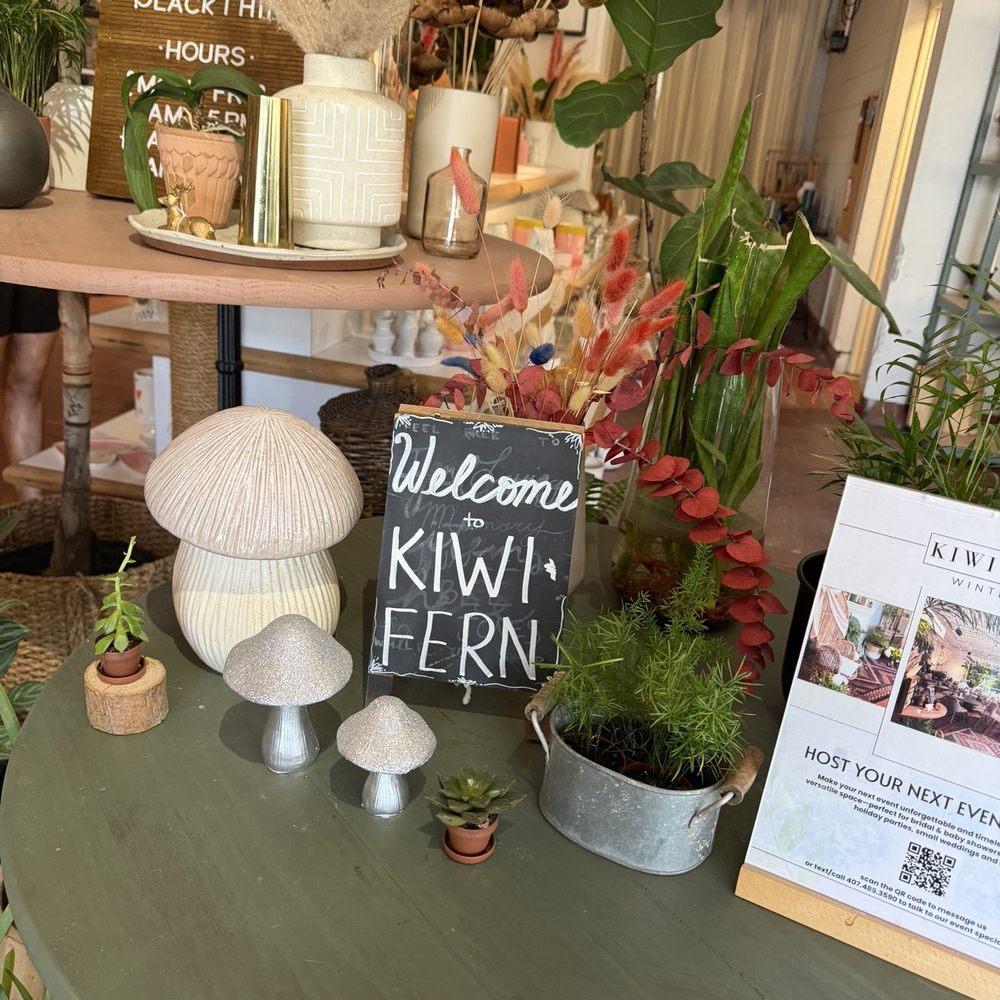 Black Phin - Coffee & Tea Near Me - Winter Park, Florida Black Phin - Coffee & Tea Near Me - Winter Park, Florida