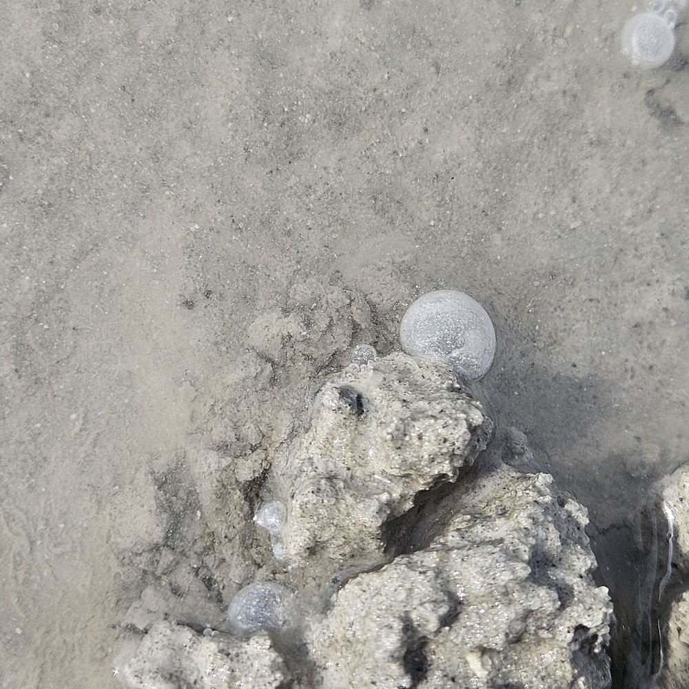 Bonneville Salt Flats - Local Flavor Near Me Bonneville Salt Flats - Local Flavor Near Me