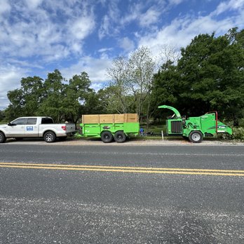 Box Tree Care - Tree Services Near Me - Leander, Texas