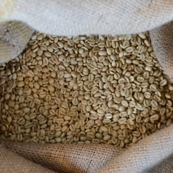 Mahou Kaffeerösterei