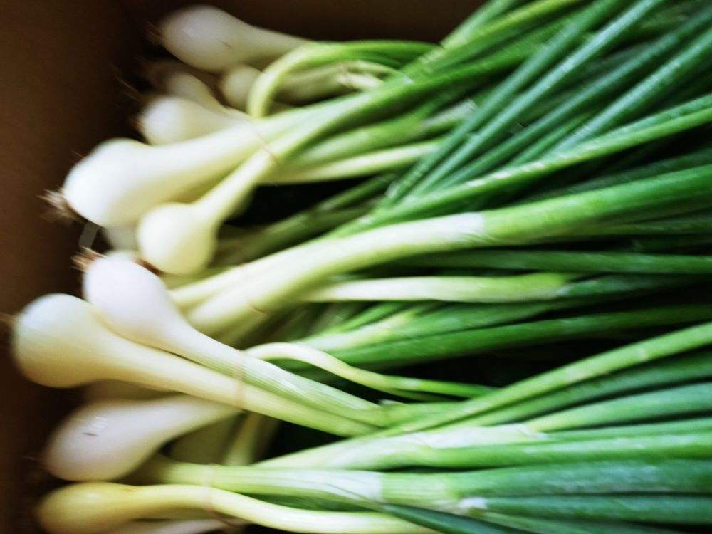 BROCKDELL PRODUCE Updated September 2024 28 Photos 2624 Brockdell