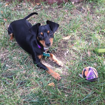 Marley's Pit Stop Rescue - Animal Shelters Near Me Marley's Pit Stop Rescue - Animal Shelters Near Me