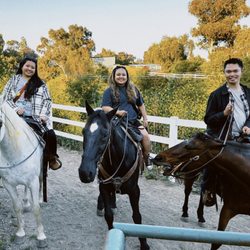 Palos Verdes Horse Rentals - Goose, Magic & Ben getting mad