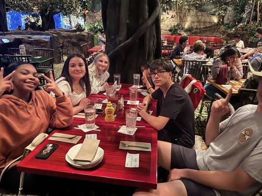 Rainforest Cafe by null