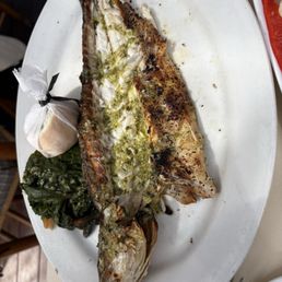 Sea bass
