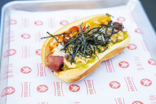 Sumo Dog by null