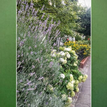 Stil' leben Blumen - Florists Near Me - Berlin, BE