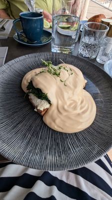 Haus des Meeres (House of the Sea) by null