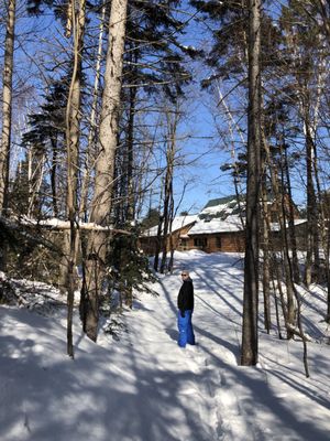 Moose Meadow Lodge & Treehouse by null