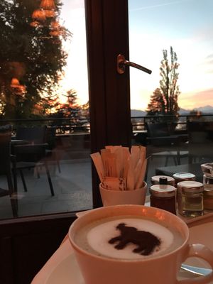 La Réserve Genève Hotel and Spa by null