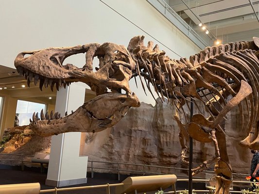 Carnegie Museum of Natural History by null