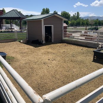 Curiosity Farms - Goat house - Farms Near Me - Lehi, Utah Curiosity Farms - Goat house - Farms Near Me - Lehi, Utah