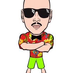 Bald Guy IT Consulting