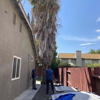 Nix Tree Service - Tree Services Near Me Nix Tree Service - Tree Services Near Me