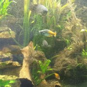 Foto zu Tropengewächshäuser des Botanischen Gartens - Hamburg, Deutschland