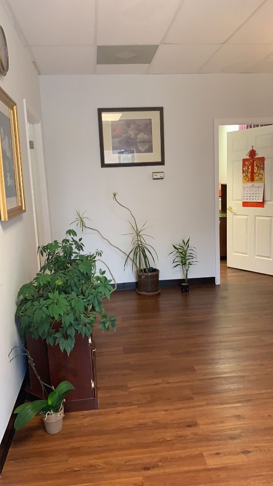 AROMATHERAPY ZEN SPA Updated September 2024 14 Photos 28 S Prince