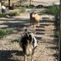 Photo of Rush Acres Farm