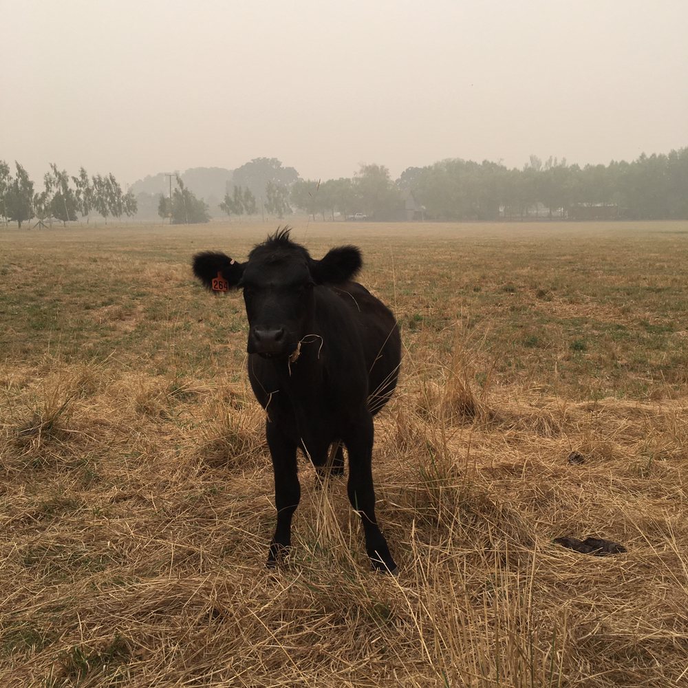 HOPEWELL HUB 19 Photos 22460 Hopewell Rd NW, Salem, Oregon