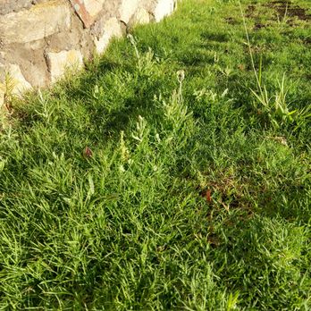 Outsidepride - Nurseries & Gardening Near Me - Independence, Oregon