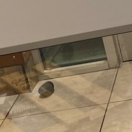 Rodent next to the window Rodent next to the window