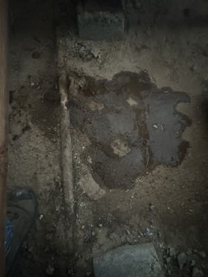 Pipe leak repair