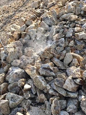 Kiel Ranch Historic Site by null