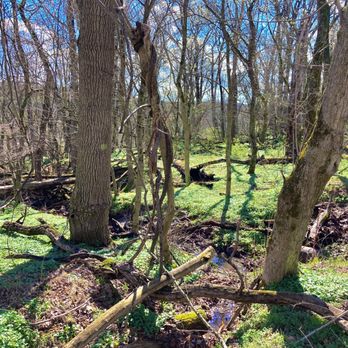 Betzwood Park - Betzwood Park - Parks Near Me - Phoenixville, Pennsylvania Betzwood Park - Betzwood Park - Parks Near Me - Phoenixville, Pennsylvania