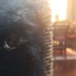 Broken foot on loveseat.