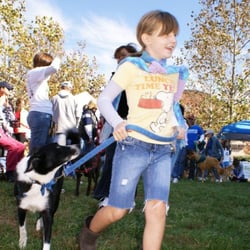 Paws4ever - Walk for Animal Protection