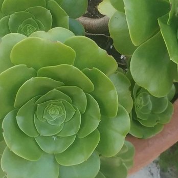 Sanger House Gardens - Venues & Event Spaces Near Me - Milwaukee, Wisconsin