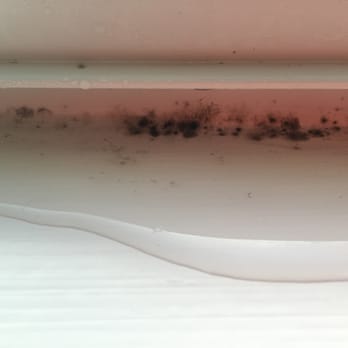 Metropolitan Apartments - and a little more mold - Apartments Near Me - San Mateo, California